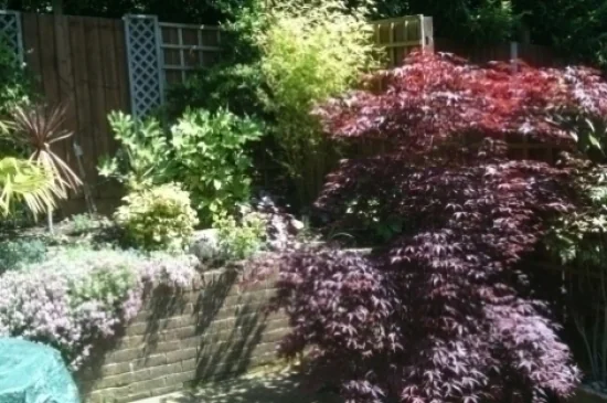 Planting & soft landscaping